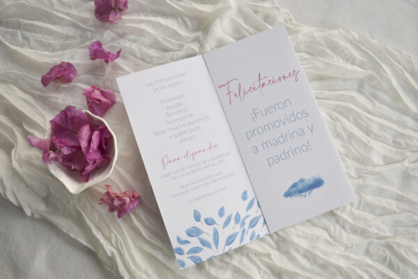 Manual para Padrinos y Damas de Honor - Imagen 2